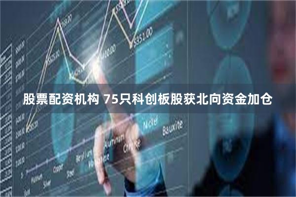 股票配资机构 75只科创板股获北向资金加仓