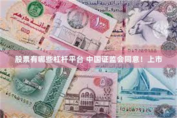 股票有哪些杠杆平台 中国证监会同意！上市