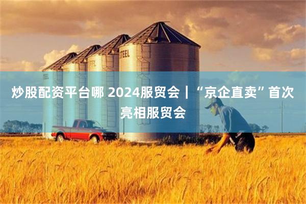 炒股配资平台哪 2024服贸会｜“京企直卖”首次亮相服贸会