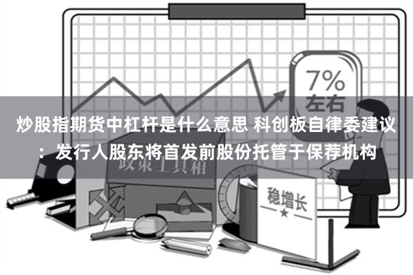 炒股指期货中杠杆是什么意思 科创板自律委建议：发行人股东将首发前股份托管于保荐机构