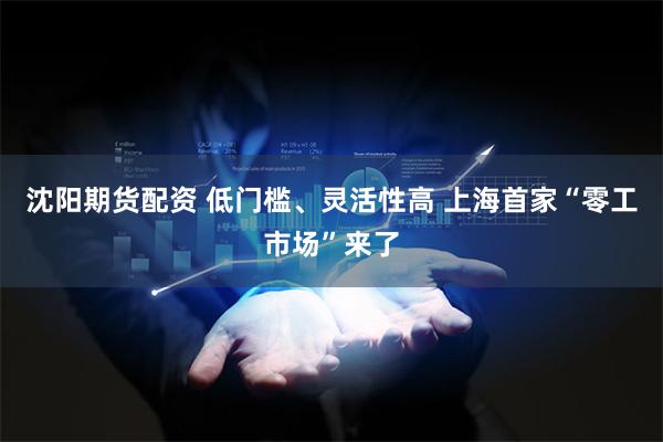 沈阳期货配资 低门槛、灵活性高 上海首家“零工市场”来了