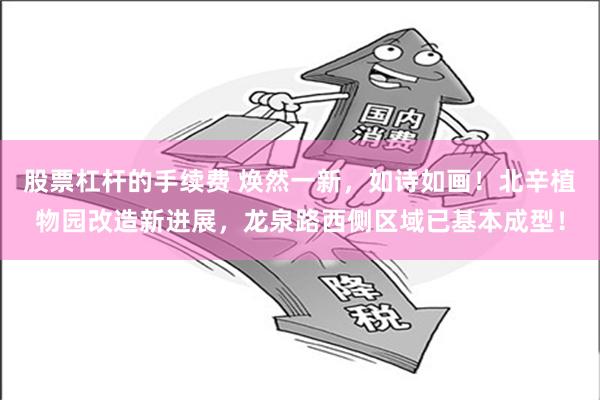 股票杠杆的手续费 焕然一新，如诗如画！北辛植物园改造新进展，龙泉路西侧区域已基本成型！