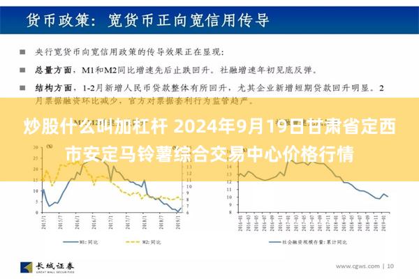 炒股什么叫加杠杆 2024年9月19日甘肃省定西市安定马铃薯综合交易中心价格行情