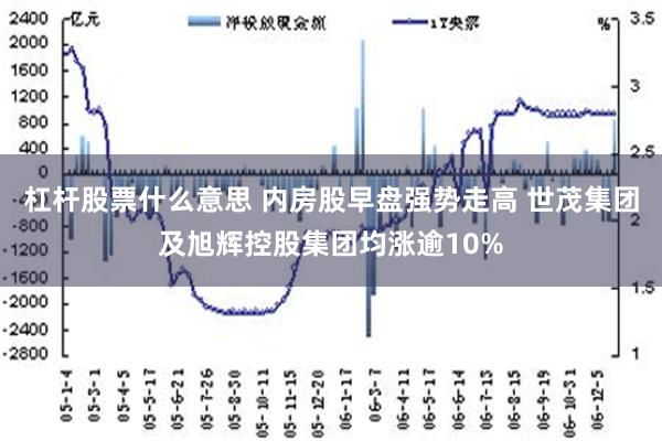 杠杆股票什么意思 内房股早盘强势走高 世茂集团及旭辉控股集团均涨逾10%