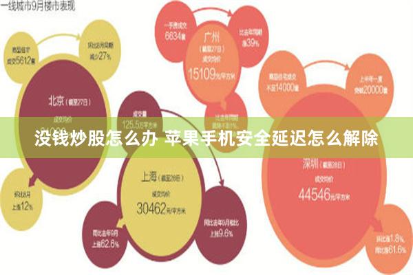 没钱炒股怎么办 苹果手机安全延迟怎么解除
