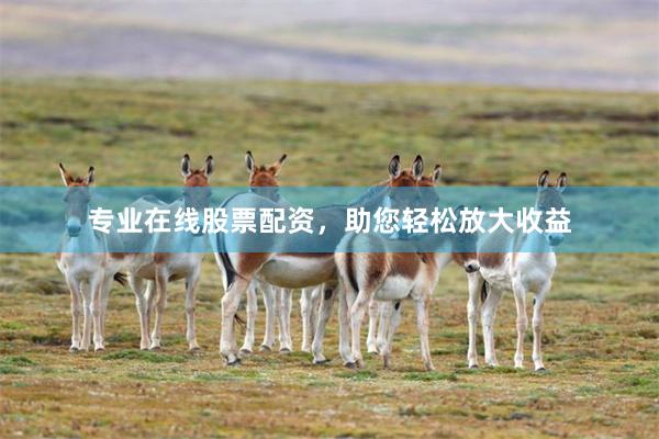 专业在线股票配资，助您轻松放大收益
