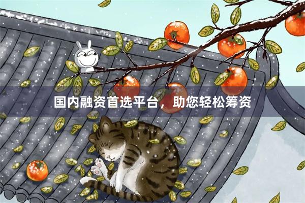 国内融资首选平台，助您轻松筹资