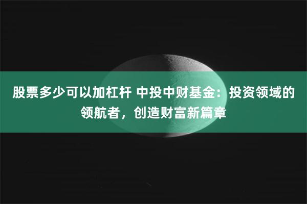股票多少可以加杠杆 中投中财基金：投资领域的领航者，创造财富新篇章