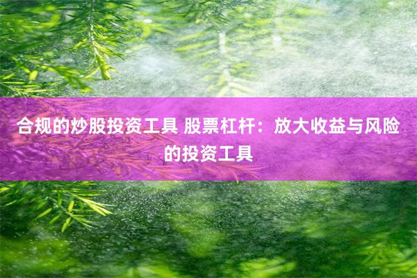 合规的炒股投资工具 股票杠杆：放大收益与风险的投资工具