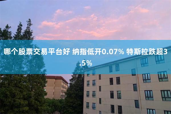 哪个股票交易平台好 纳指低开0.07% 特斯拉跌超3.5%