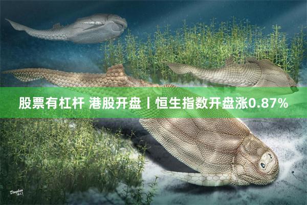 股票有杠杆 港股开盘丨恒生指数开盘涨0.87%
