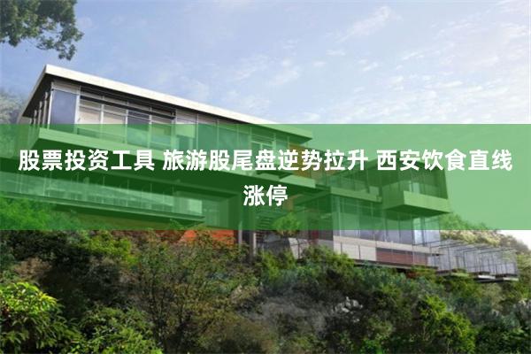 股票投资工具 旅游股尾盘逆势拉升 西安饮食直线涨停