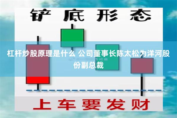 杠杆炒股原理是什么 公司董事长陈太松为洋河股份副总裁