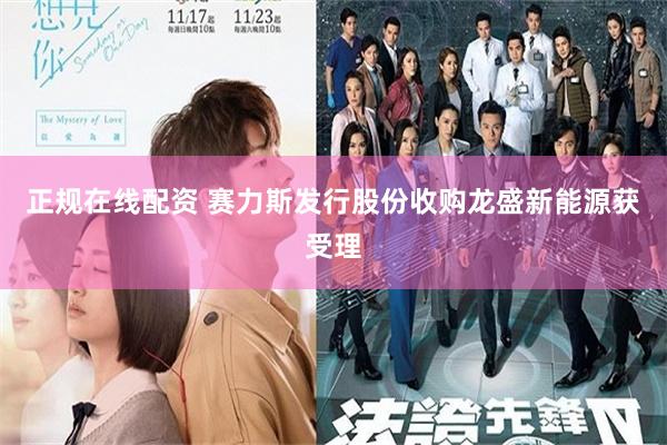 正规在线配资 赛力斯发行股份收购龙盛新能源获受理