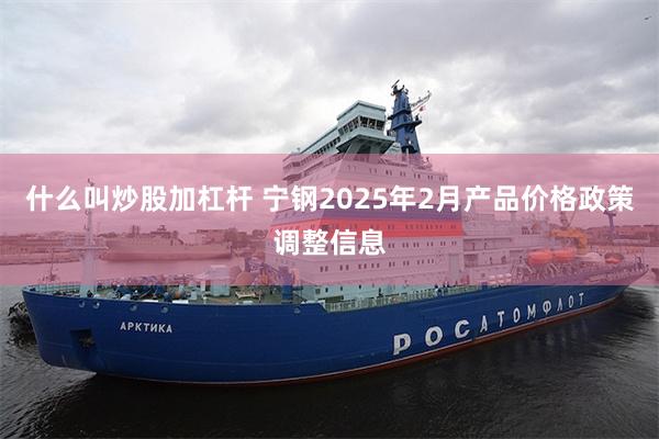 什么叫炒股加杠杆 宁钢2025年2月产品价格政策调整信息