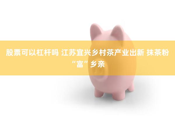 股票可以杠杆吗 江苏宜兴乡村茶产业出新 抹茶粉“富”乡亲