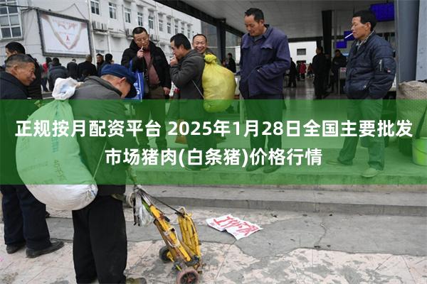 正规按月配资平台 2025年1月28日全国主要批发市场猪肉(白条猪)价格行情