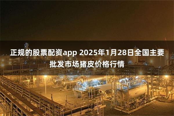 正规的股票配资app 2025年1月28日全国主要批发市场猪皮价格行情