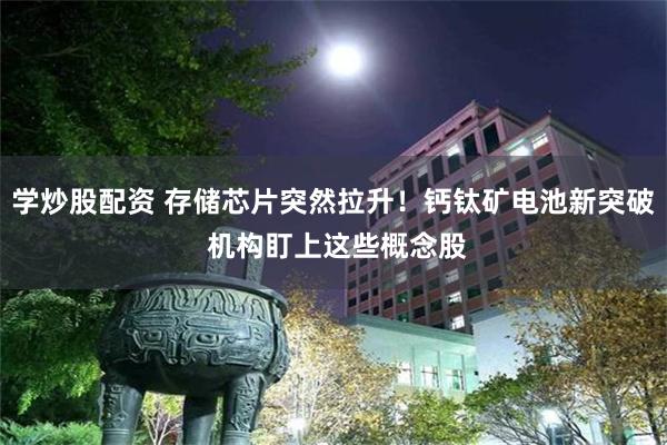 学炒股配资 存储芯片突然拉升！钙钛矿电池新突破 机构盯上这些概念股
