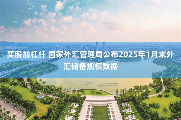 买股加杠杆 国家外汇管理局公布2025年1月末外汇储备规模数据