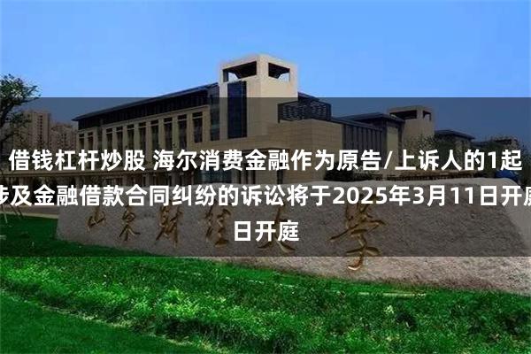 借钱杠杆炒股 海尔消费金融作为原告/上诉人的1起涉及金融借款合同纠纷的诉讼将于2025年3月11日开庭