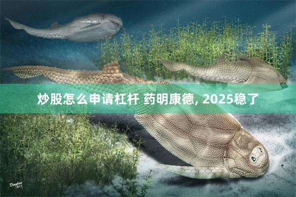 炒股怎么申请杠杆 药明康德, 2025稳了