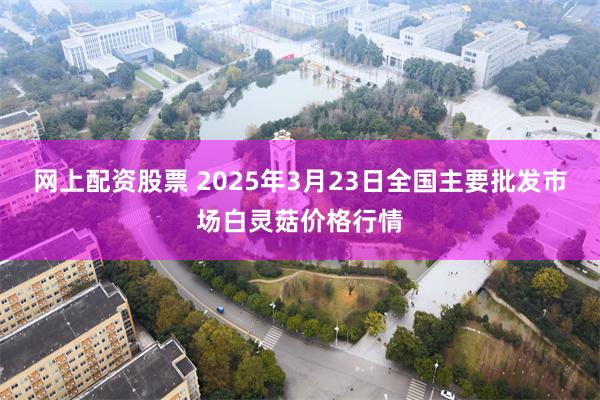 网上配资股票 2025年3月23日全国主要批发市场白灵菇价格行情