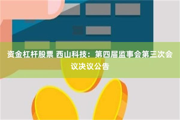 资金杠杆股票 西山科技：第四届监事会第三次会议决议公告