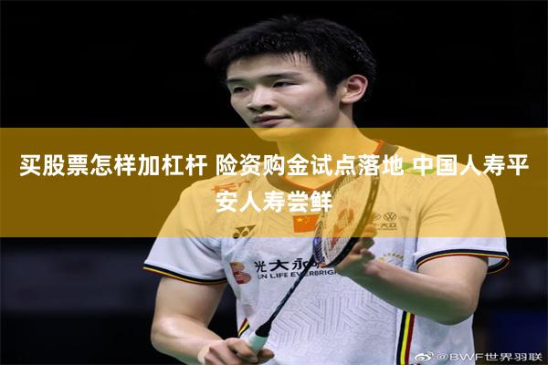 买股票怎样加杠杆 险资购金试点落地 中国人寿平安人寿尝鲜