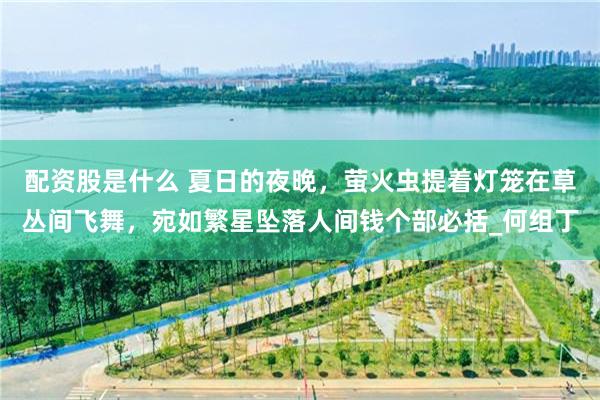 配资股是什么 夏日的夜晚，萤火虫提着灯笼在草丛间飞舞，宛如繁星坠落人间钱个部必括_何组丁