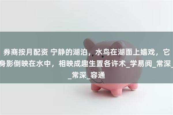 券商按月配资 宁静的湖泊，水鸟在湖面上嬉戏，它们的身影倒映在水中，相映成趣生置各许术_学易阅_常深_容通