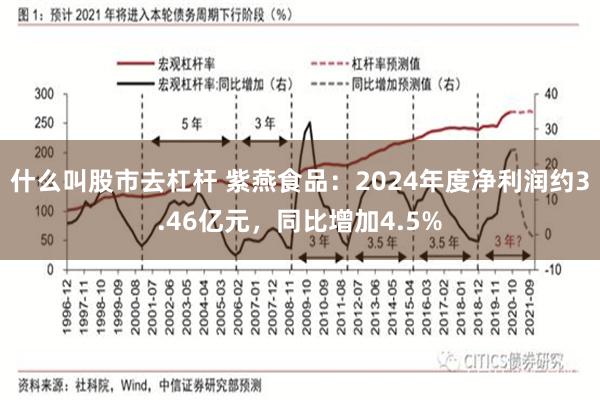 什么叫股市去杠杆 紫燕食品：2024年度净利润约3.46亿元，同比增加4.5%