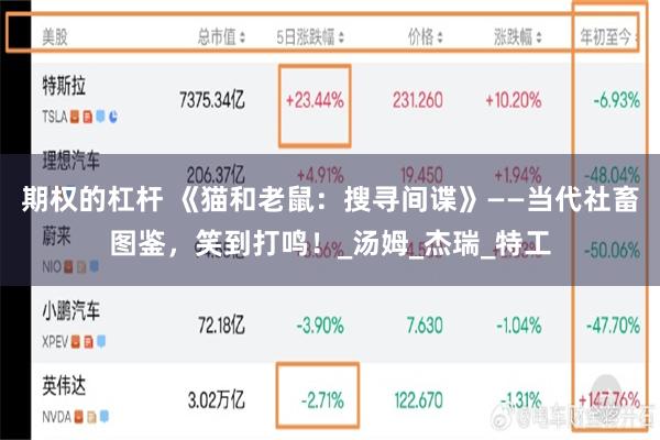 期权的杠杆 《猫和老鼠：搜寻间谍》——当代社畜图鉴，笑到打鸣！_汤姆_杰瑞_特工