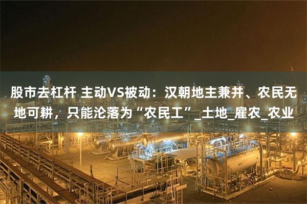 股市去杠杆 主动VS被动：汉朝地主兼并、农民无地可耕，只能沦落为“农民工”_土地_雇农_农业