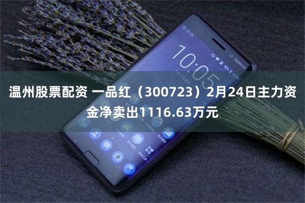温州股票配资 一品红（300723）2月24日主力资金净卖出1116.63万元