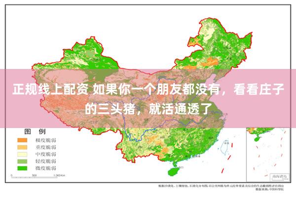 正规线上配资 如果你一个朋友都没有，看看庄子的三头猪，就活通透了