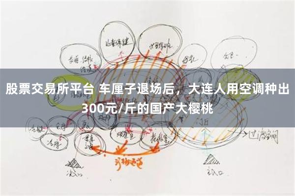 股票交易所平台 车厘子退场后，大连人用空调种出300元/斤的国产大樱桃