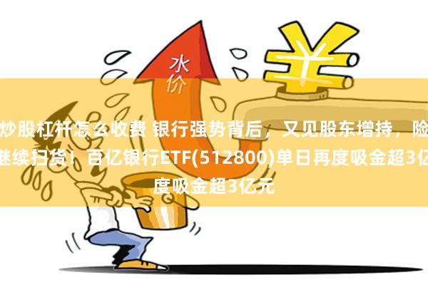 炒股杠杆怎么收费 银行强势背后，又见股东增持，险资继续扫货！百亿银行ETF(512800)单日再度吸金超3亿元